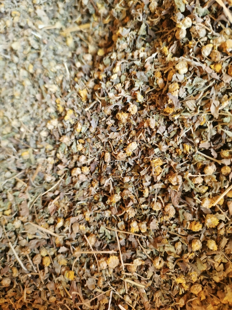 药厂菊花