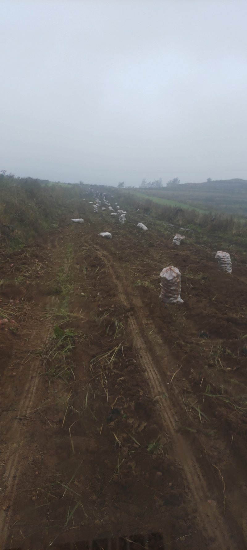 230亩待耕种土地，160亩，对外承租，承租时间1-10