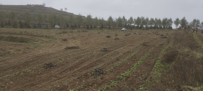 230亩待耕种土地，160亩，对外承租，承租时间1-10