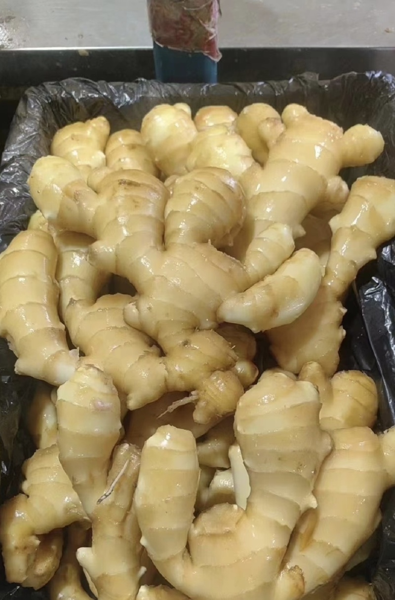 【市场电商工厂优选】大黄姜产地精品直发保质保量