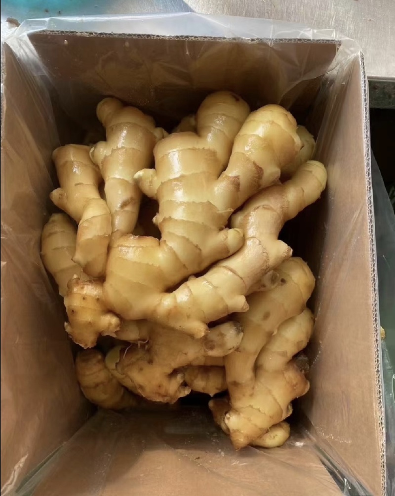 【市场电商工厂优选】大黄姜产地精品直发保质保量