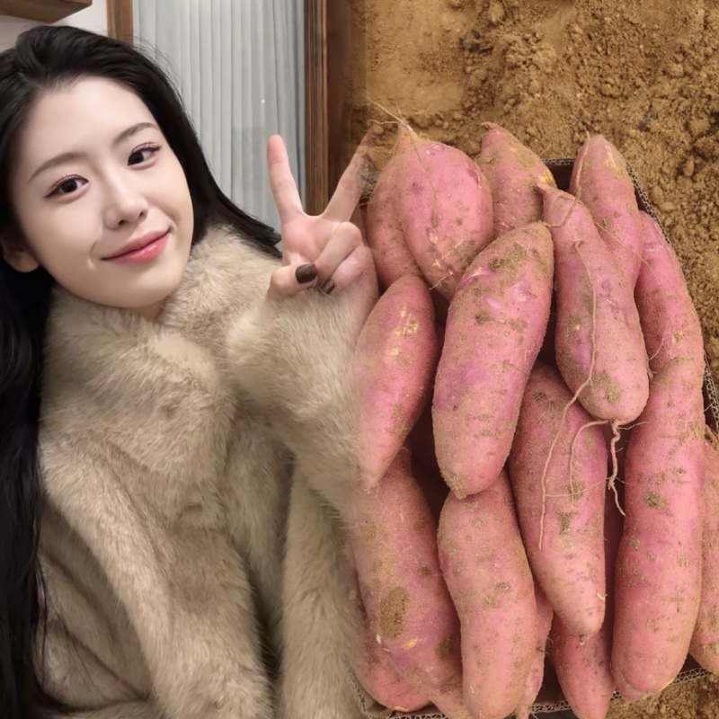【市场电商工厂优选】西瓜红烟薯产地货源精品保质保量