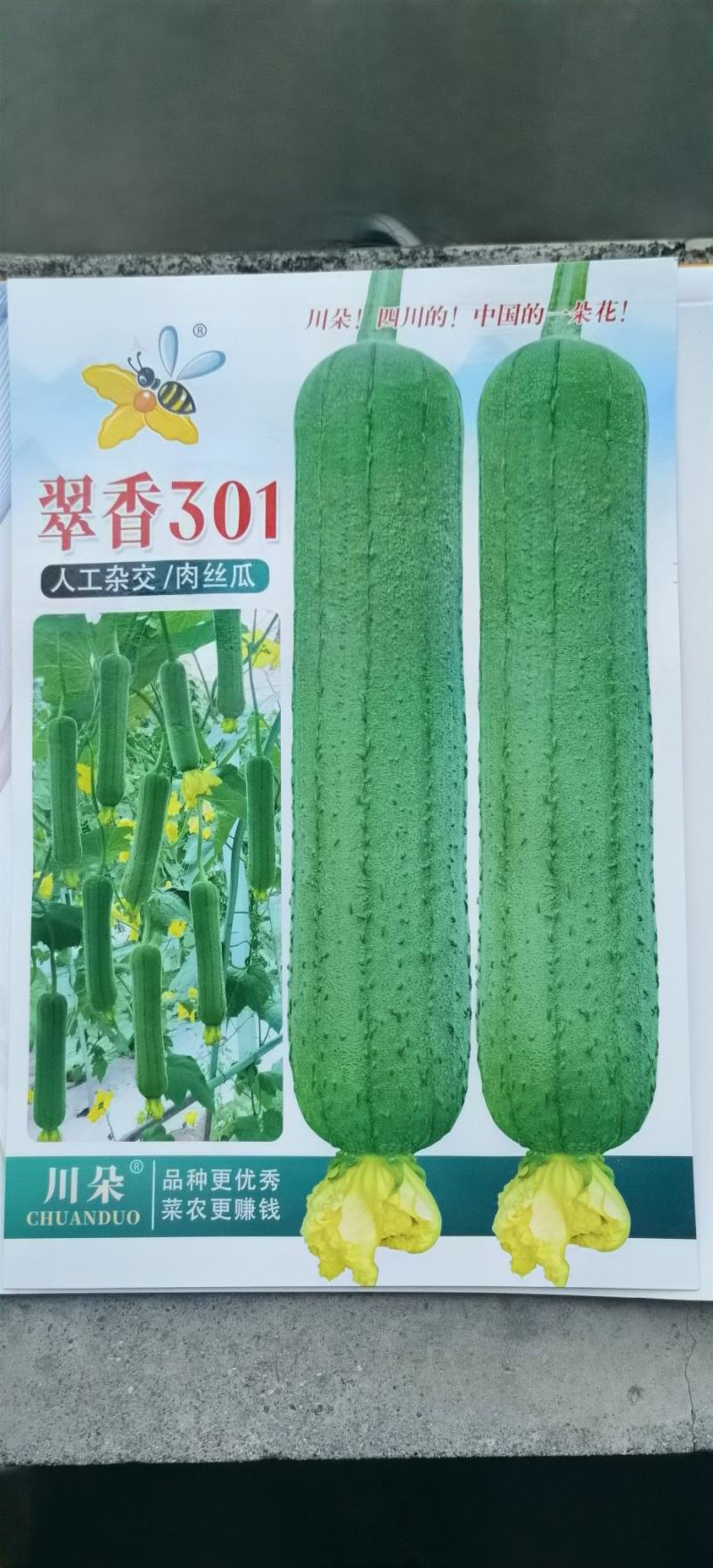 肉丝瓜种子翠香301早熟中短棒长厘米翠绿高产