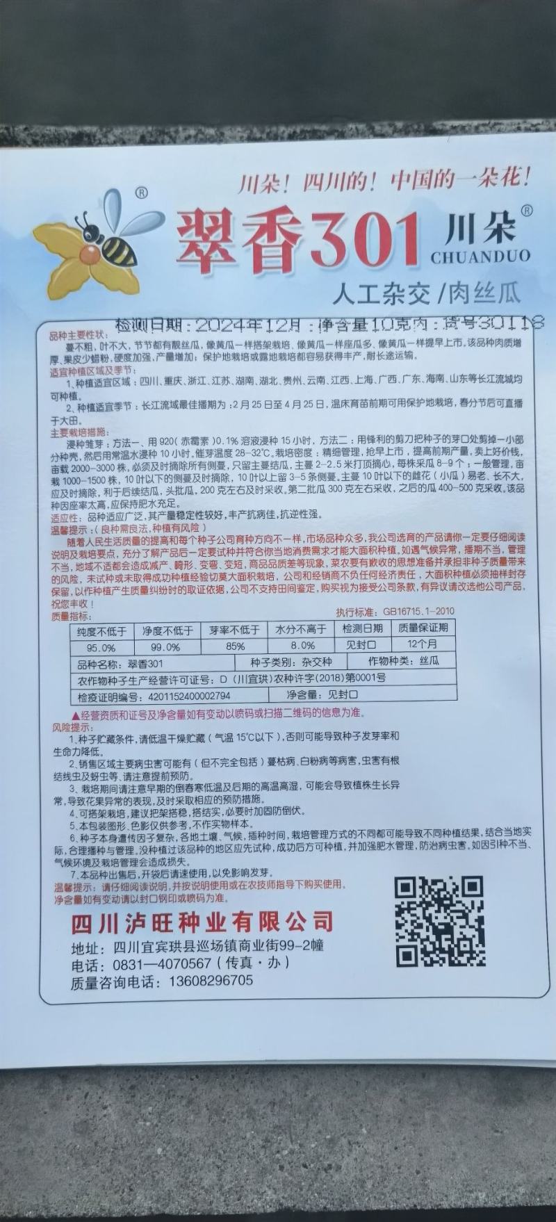 肉丝瓜种子翠香301早熟中短棒长厘米翠绿高产