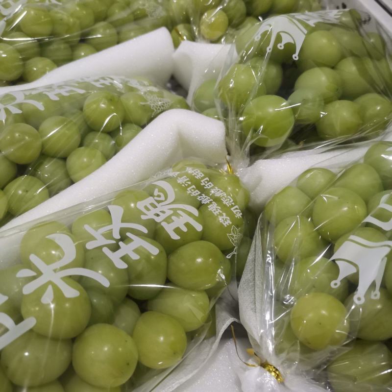 阳光玫瑰