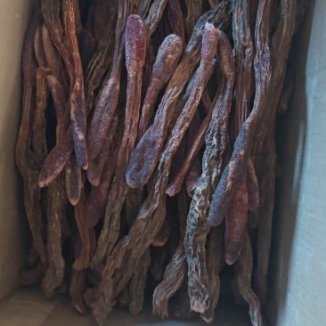 锁阳锁阳个锁阳片泡酒泡茶中药材批发锁阳产地直销
