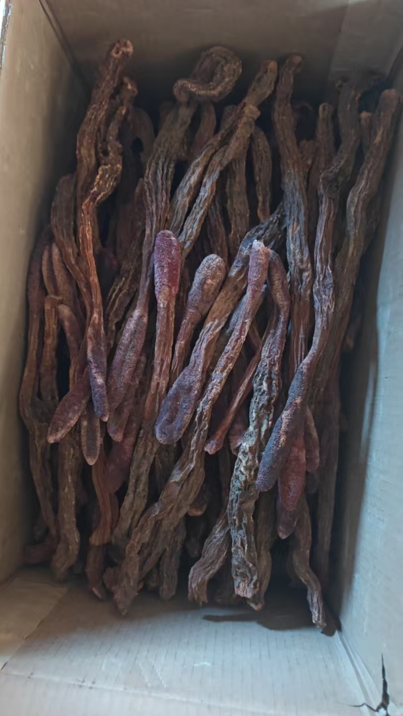 锁阳锁阳个锁阳片泡酒泡茶中药材批发锁阳产地直销