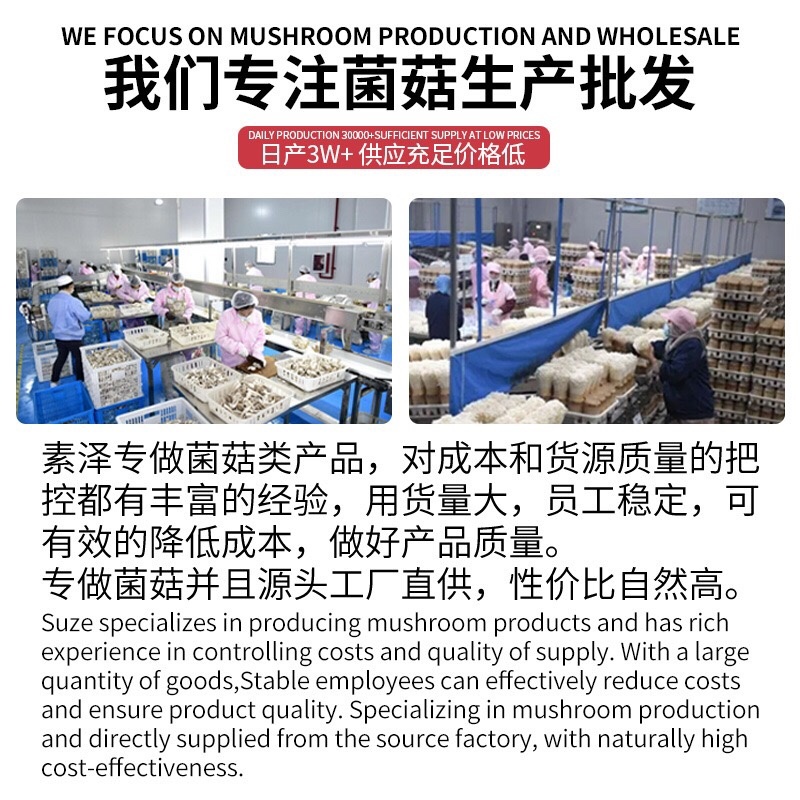 新鲜羊肚菌