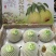 莱阳慈梨口感好脆甜大量上市欢迎来电咨询