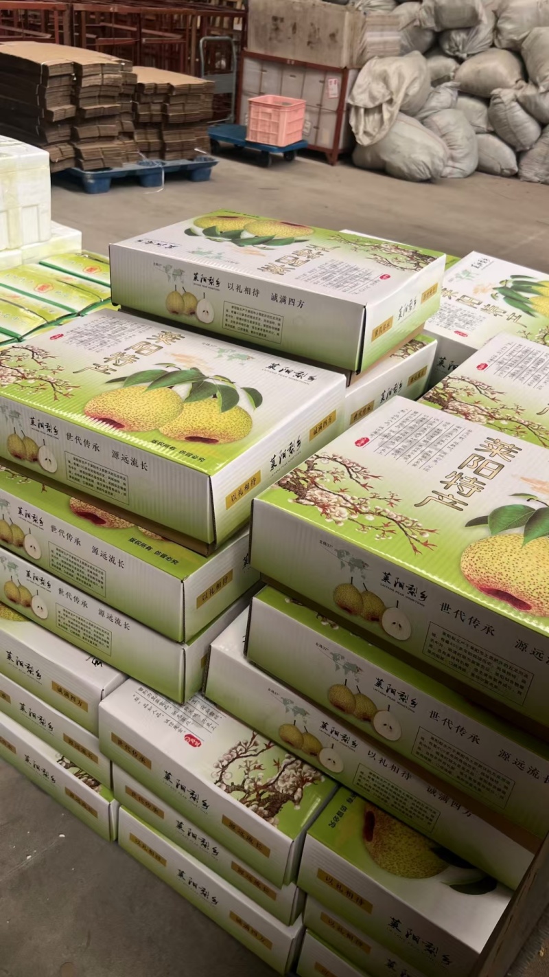 莱阳慈梨口感好脆甜大量上市欢迎来电咨询