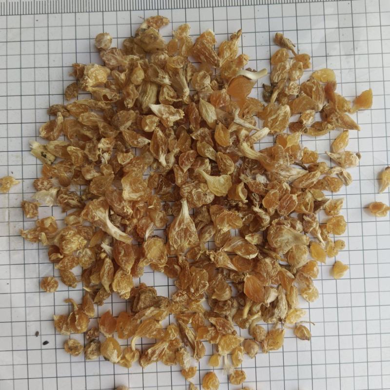 薤白。产地一手货源，实拍，有现货，24小时内发货
