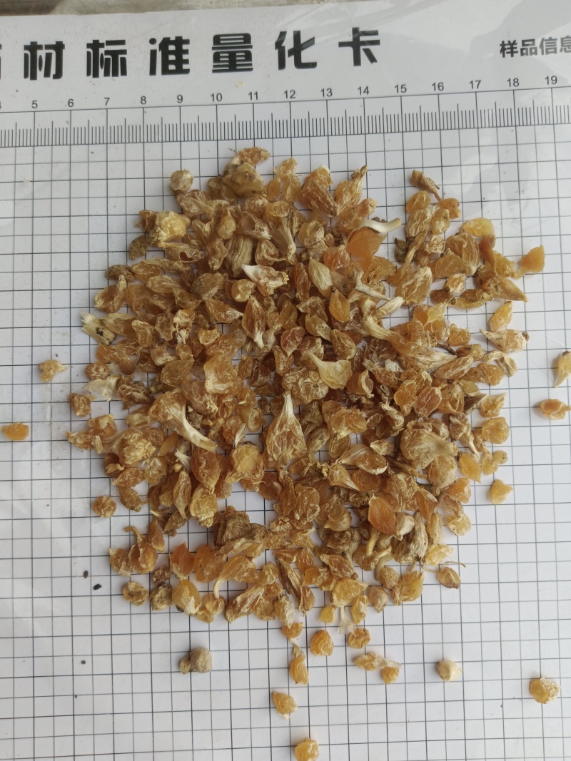 薤白。产地一手货源，实拍，有现货，24小时内发货