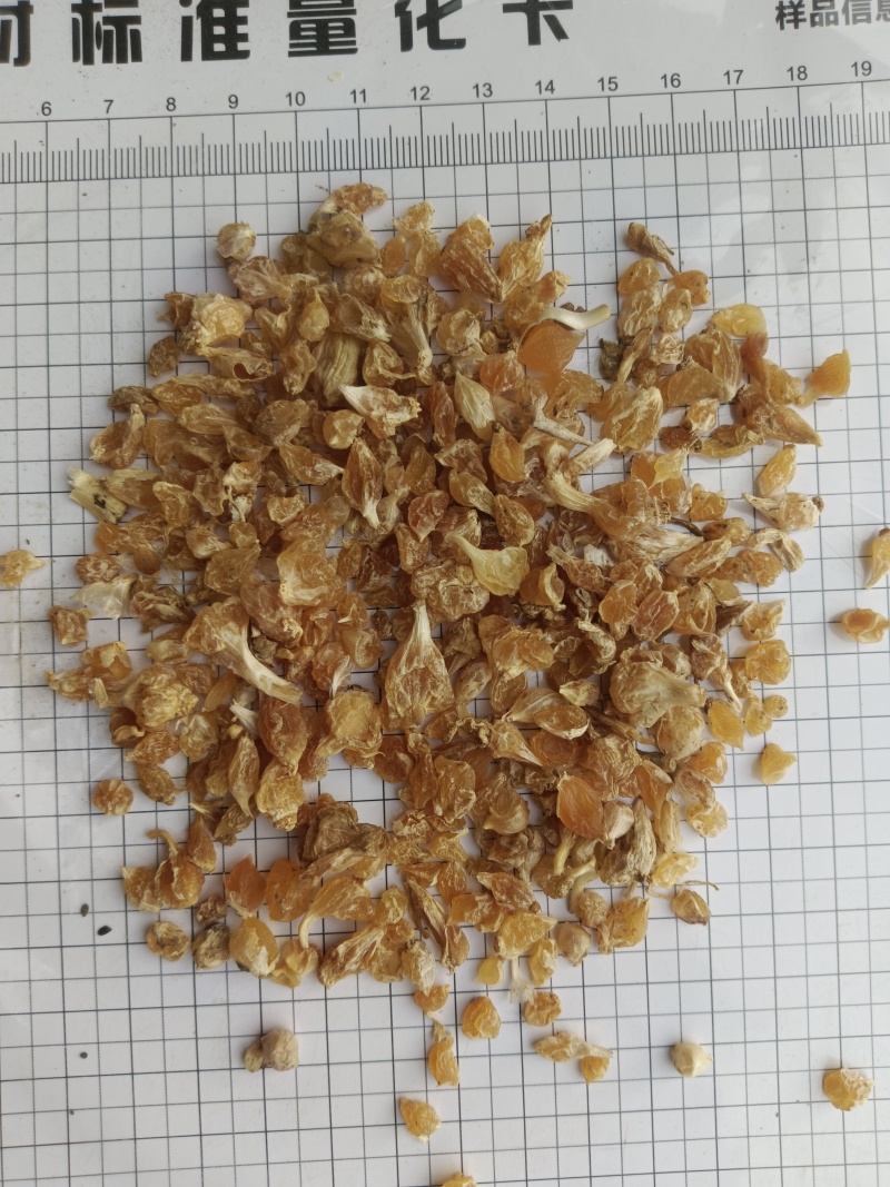 薤白。产地一手货源，实拍，有现货，24小时内发货