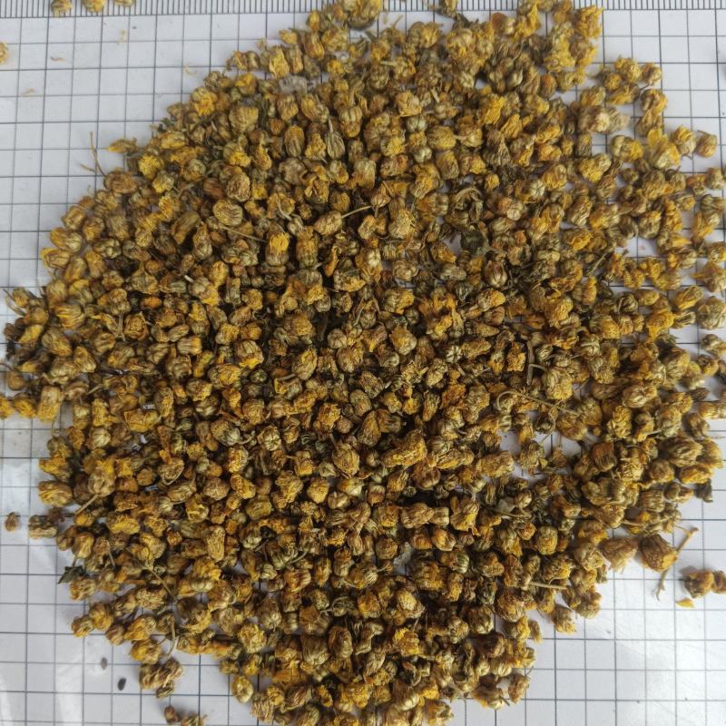 野菊花，新货无硫无熏蒸，正品质量保证，实拍现货，