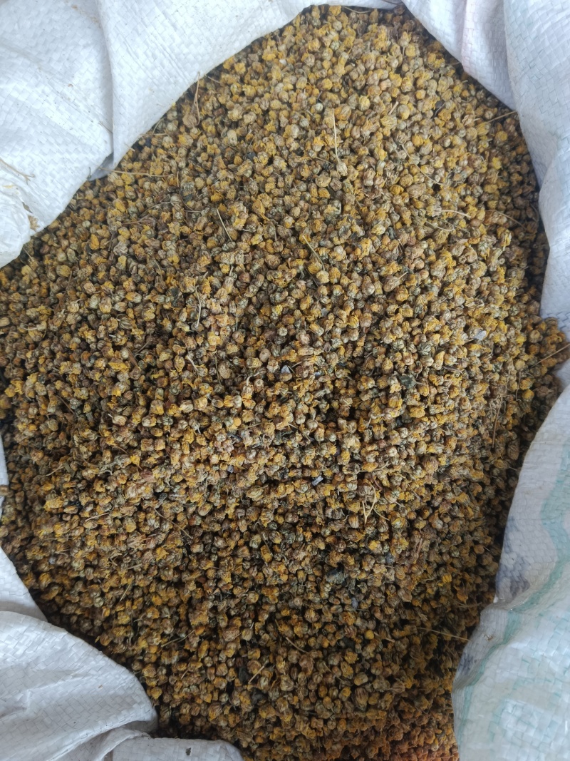 野菊花，新货无硫无熏蒸，正品质量保证，实拍现货，