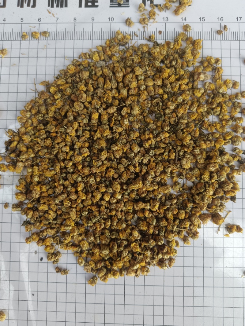 野菊花，新货无硫无熏蒸，正品质量保证，实拍现货，