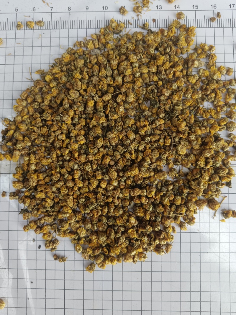 野菊花，新货无硫无熏蒸，正品质量保证，实拍现货，