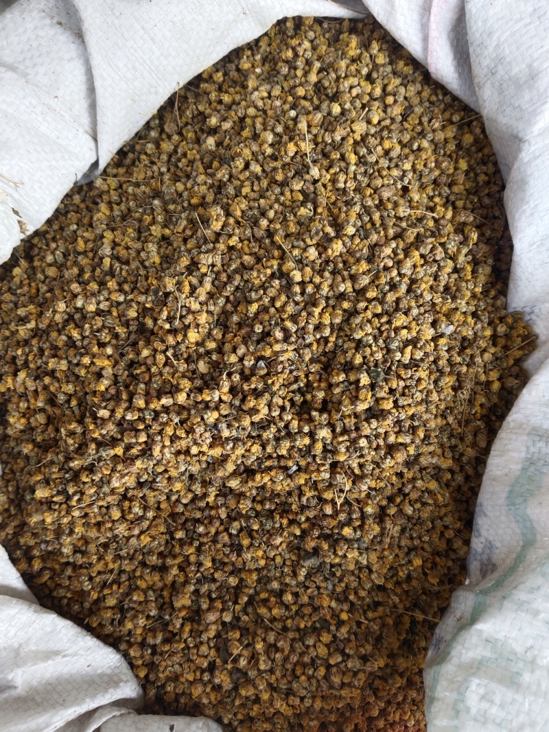 野菊花，新货无硫无熏蒸，正品质量保证，实拍现货，