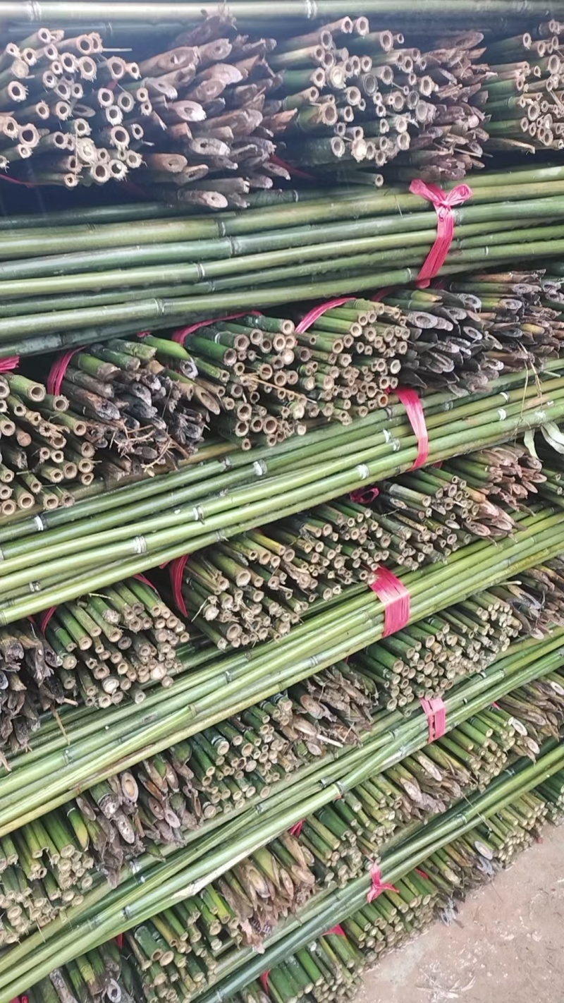优质竹竿，竹子，豆角架，西红柿，火龙果架辣椒杆等产地批发
