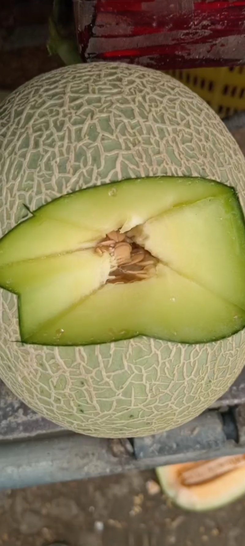 需要老板联系，***********