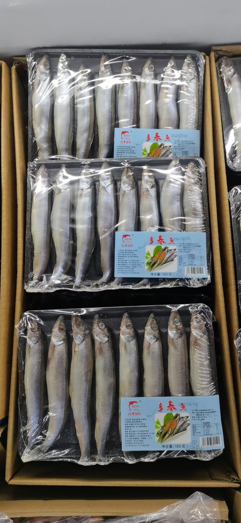 多春鱼满籽新鲜多籽鱼冷冻带籽鲜活烧烤海鲜油炸商用海鱼鱼类