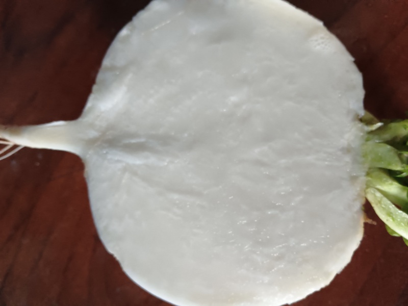 又白又甜的圆根萝卜
