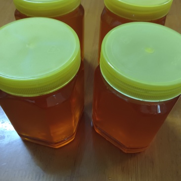 野蜂蜜，只有十几斤，一瓶一斤好货不多。
