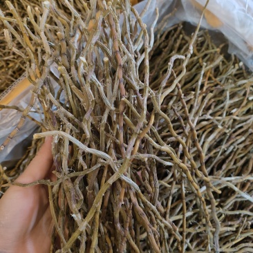 石斛理条，货品优质，一手货源，保质保真，价格优惠