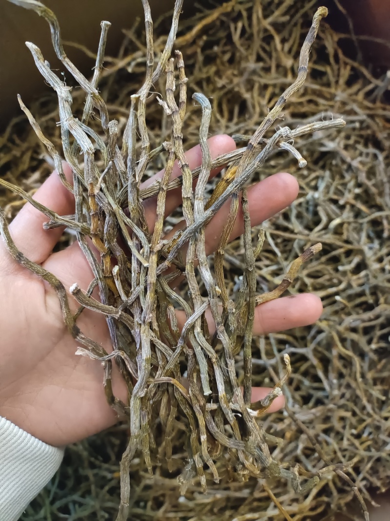 石斛理条，货品优质，一手货源，保质保真，价格优惠