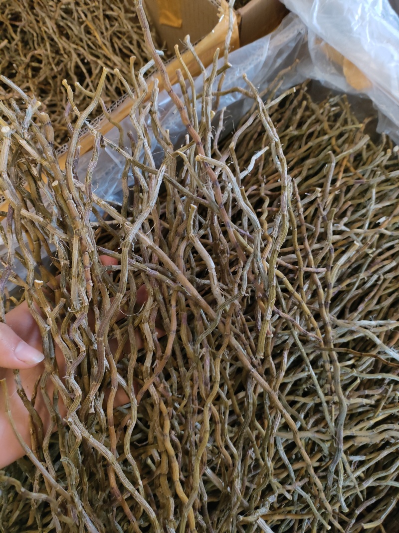石斛理条，货品优质，一手货源，保质保真，价格优惠