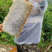 吉林椴树蜜大量批发全国供货品质保证量大价优欢迎来电