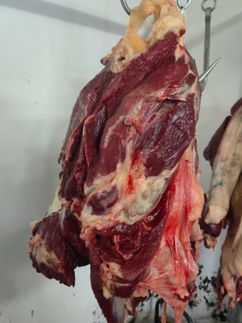 河北新鲜驴肉，肉无注水大量供应现货现发价格美丽一手货源