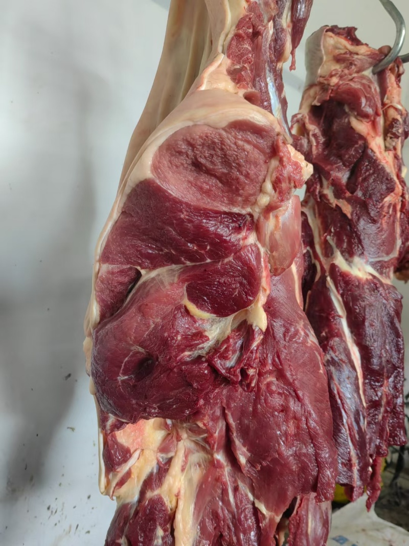 河北新鲜驴肉，肉无注水大量供应现货现发价格美丽一手货源