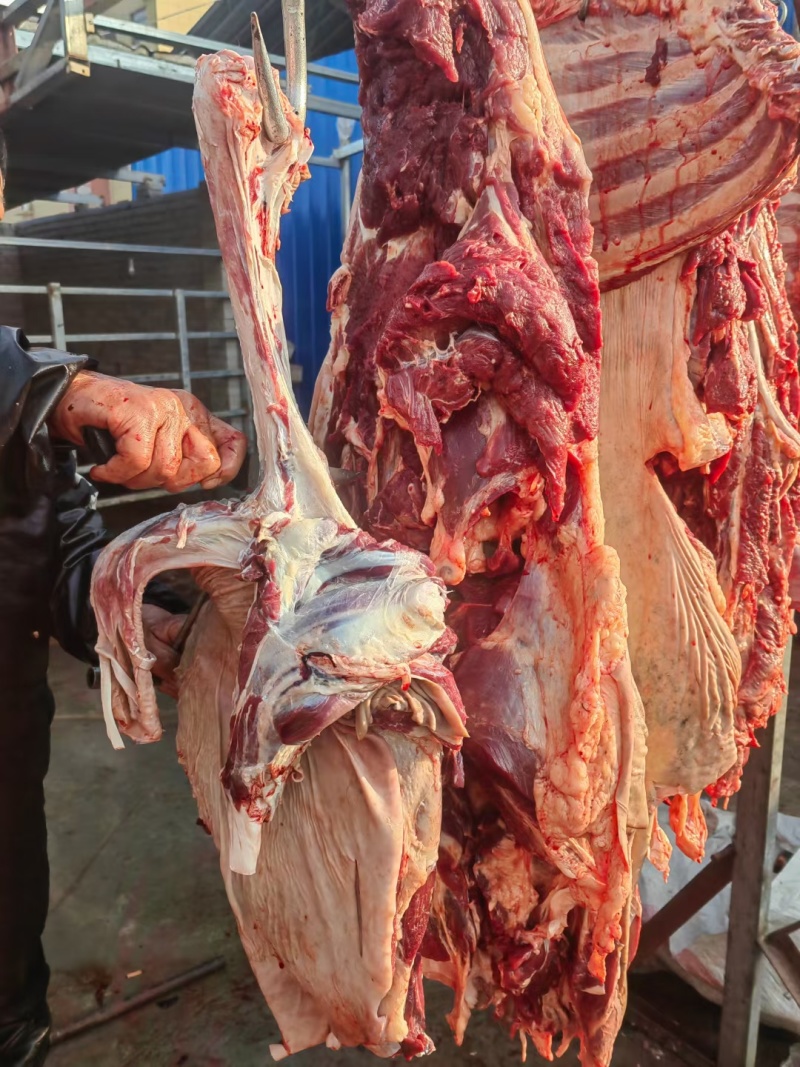 河北新鲜驴肉，肉无注水大量供应现货现发价格美丽一手货源