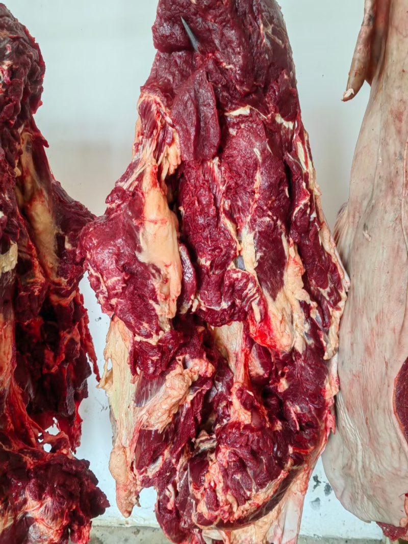 河北新鲜驴肉，肉无注水大量供应现货现发价格美丽一手货源