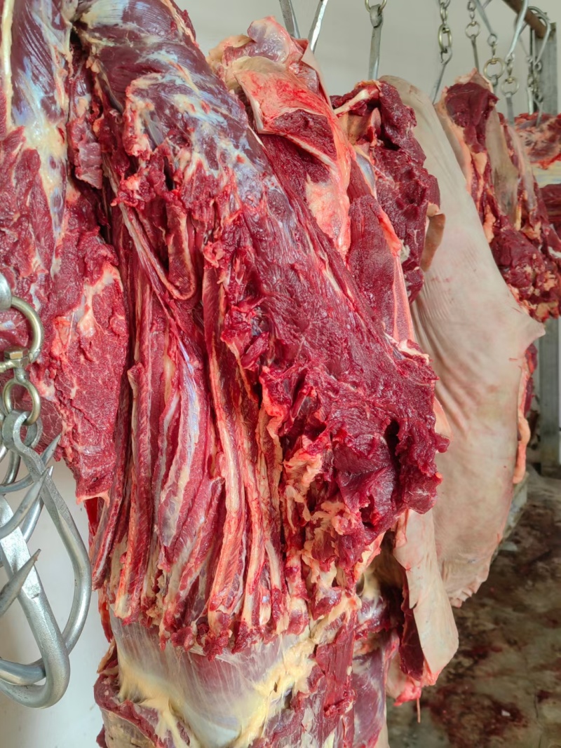 河北新鲜驴肉，肉无注水大量供应现货现发价格美丽一手货源