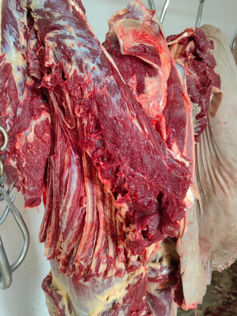 河北新鲜驴肉，肉无注水大量供应现货现发价格美丽一手货源
