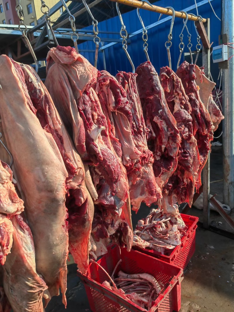 河北新鲜驴肉，肉无注水大量供应现货现发价格美丽一手货源