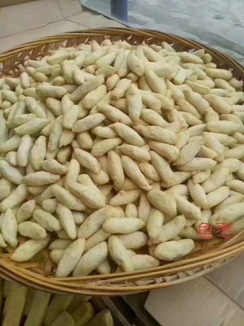 精品鱼丸鱼枣量大从优价格实惠质量优品质好