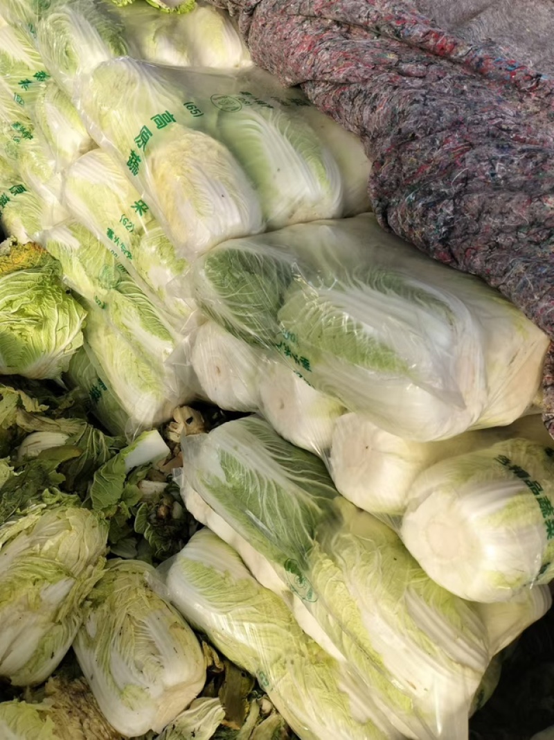 黄心白菜团队协助装车按需包装进店联系