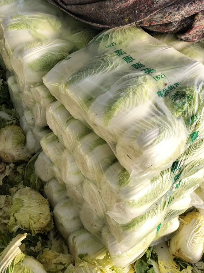 黄心白菜团队协助装车按需包装进店联系