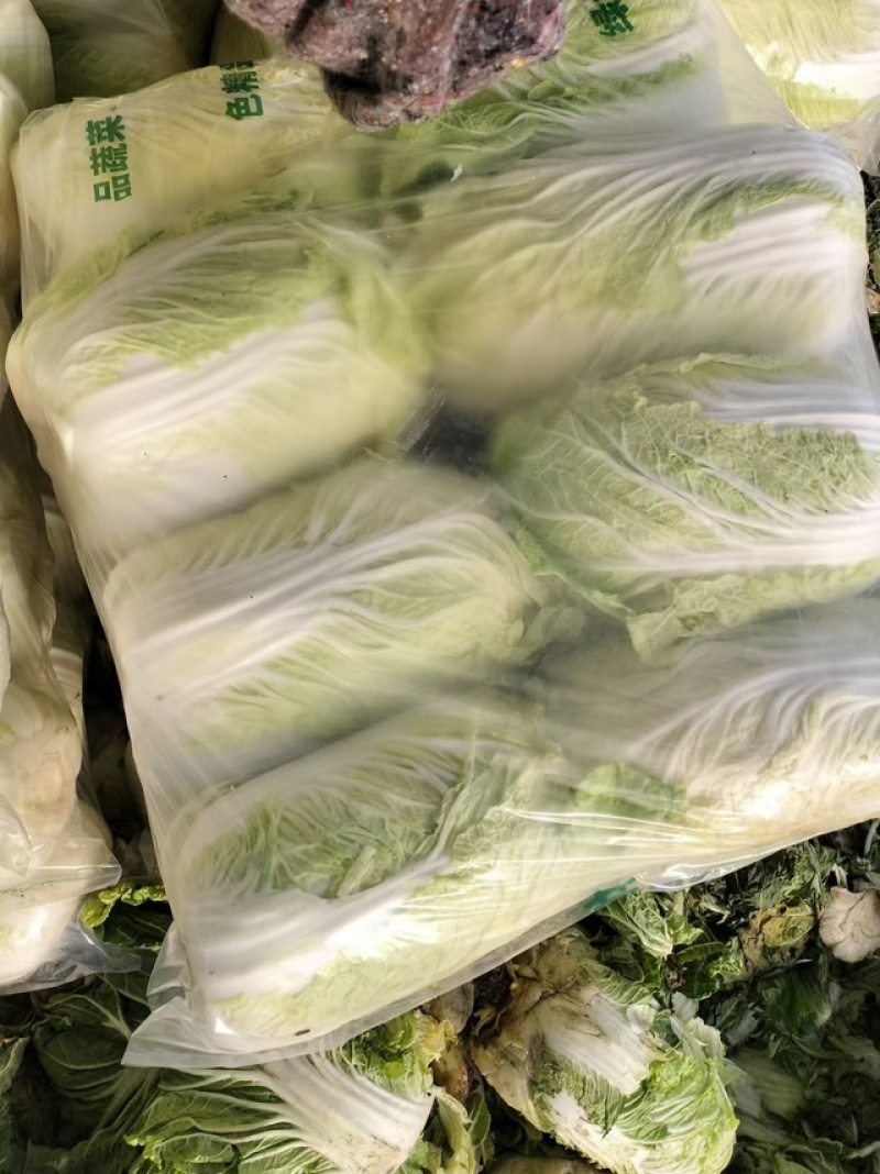 黄心白菜团队协助装车按需包装进店联系