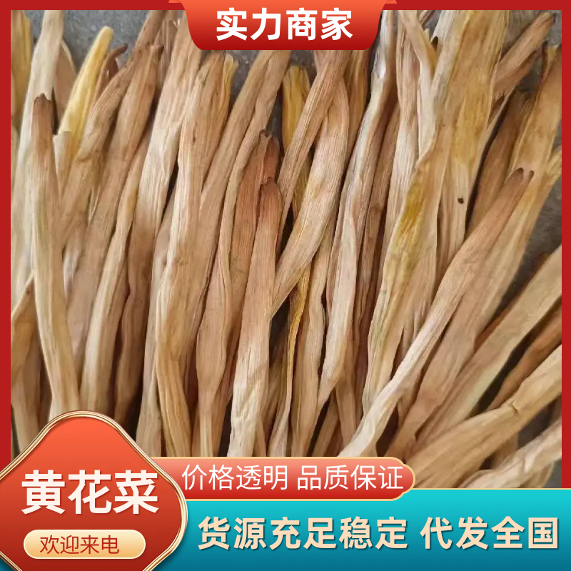 精品2025新品黄花菜货源充足产地直供质量保证欢迎咨询