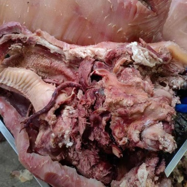 优质清真牛头肉，带皮牛头肉，支持全国发货欢迎咨询