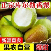 正宗新疆库尔勒香梨全母梨特级脆甜多汁代收代发代储实力商家