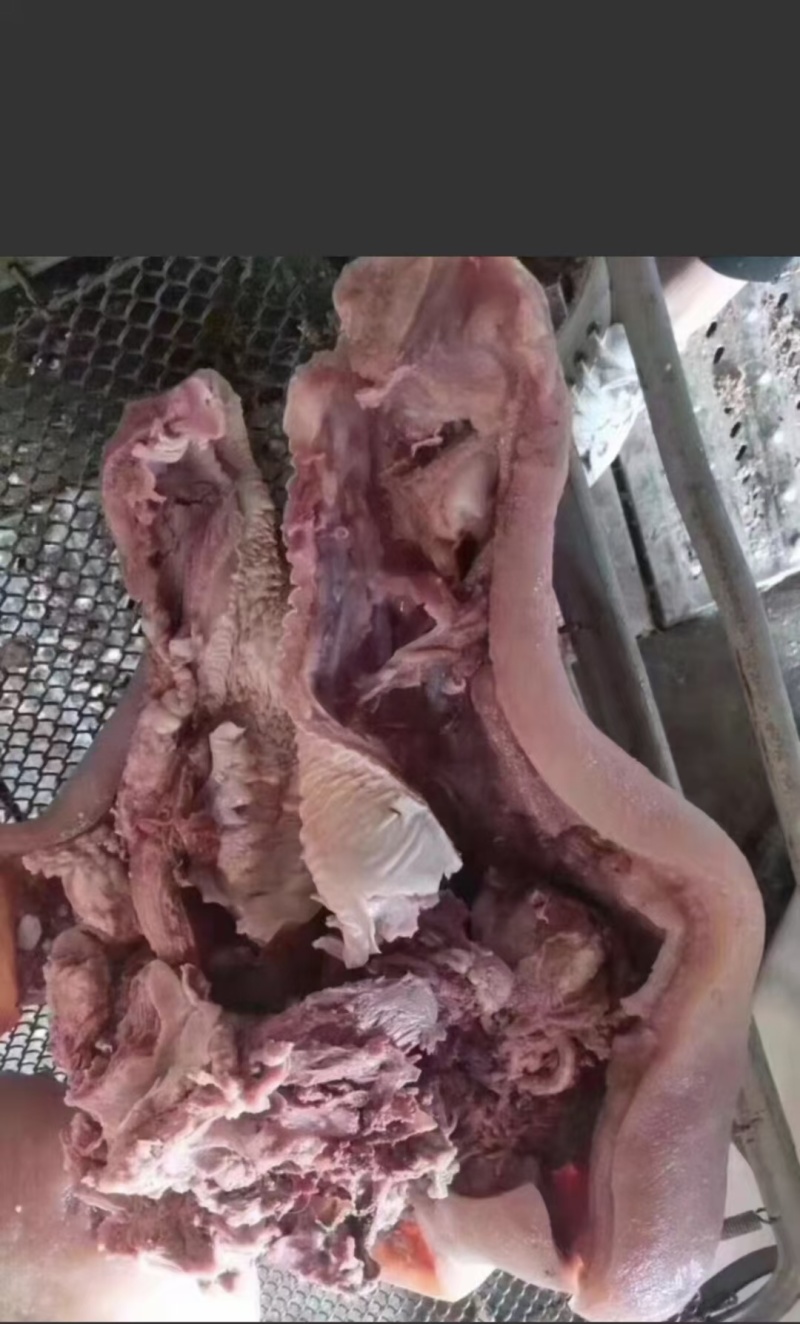 优质清真牛头肉，带皮牛头肉，支持全国发货欢迎咨询