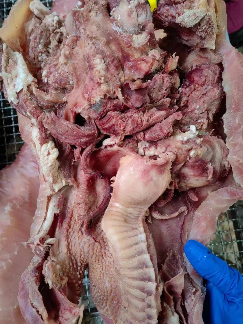 优质清真牛头肉，带皮牛头肉，支持全国发货欢迎咨询