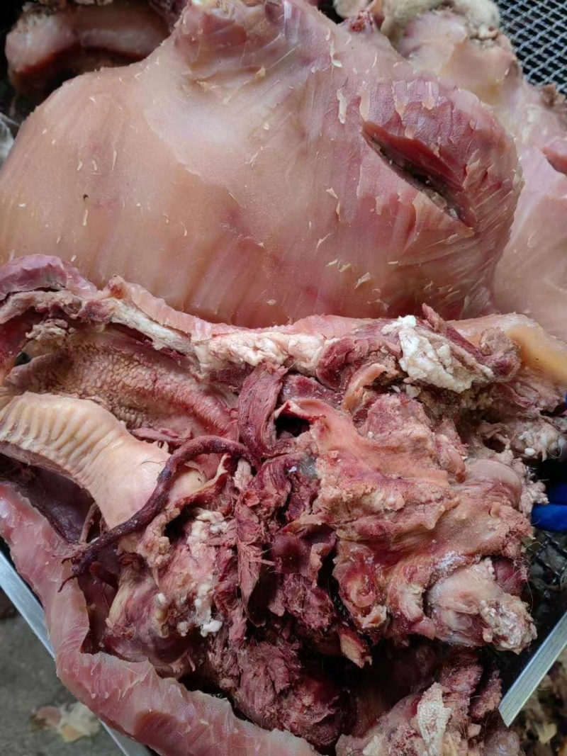 优质清真牛头肉，带皮牛头肉，支持全国发货欢迎咨询
