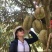 金枕榴莲，产地直发，坏果包赔包售后，