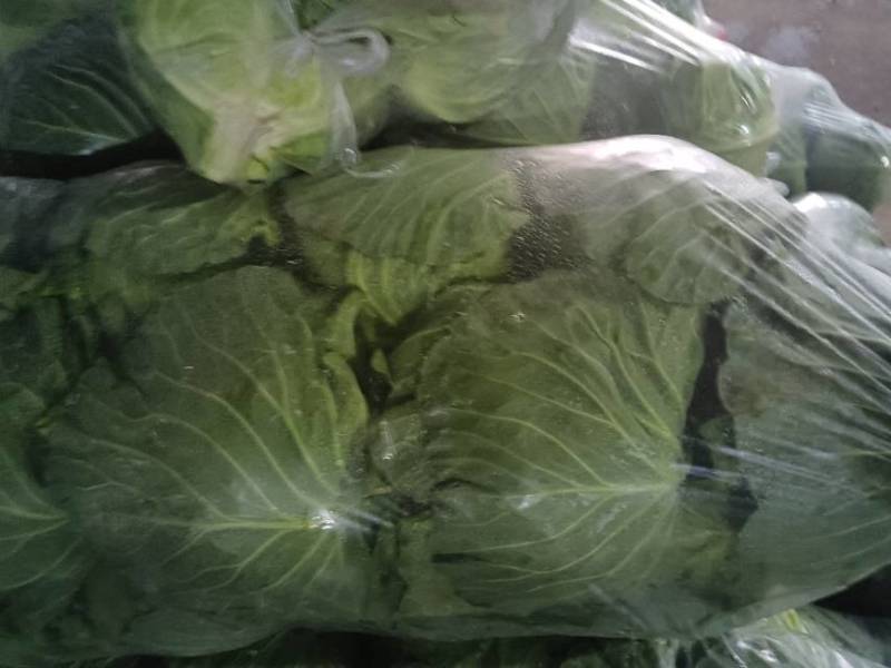 新鲜苏州甘蓝，当地产地直供，品质保证，**特惠，快来选购！